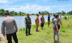 Respons Arahan Bupati, Muspika Kluet Utara Turunkan Pawang Buaya ke Sungai Kedai Padang